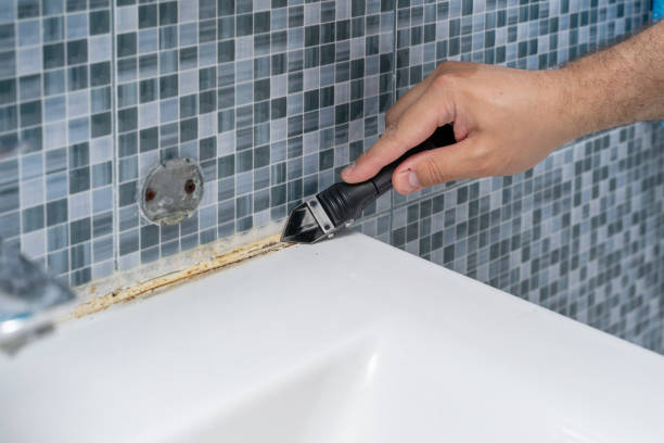 Best Mold Cleaning Services  in Frederick, CO
