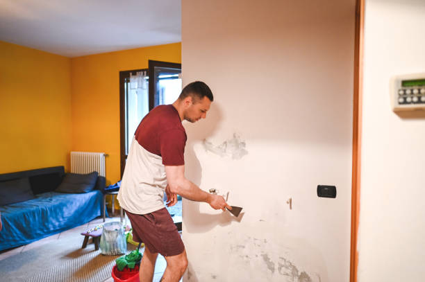 Best Mold Cleaning Services  in Frederick, CO